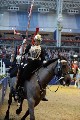 Cavalry - 00210